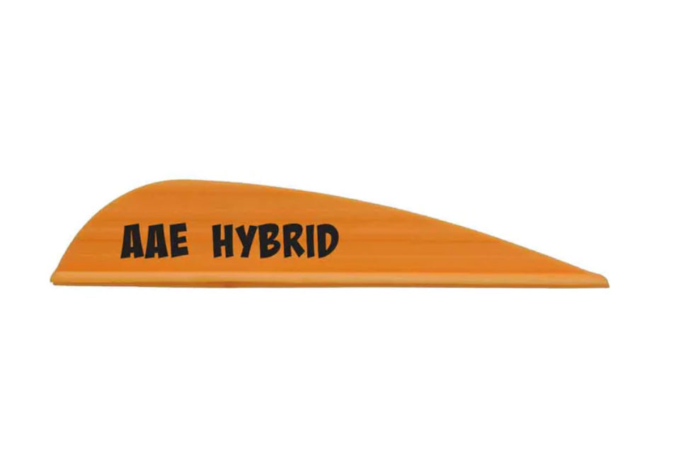 AAE Hybrid 23