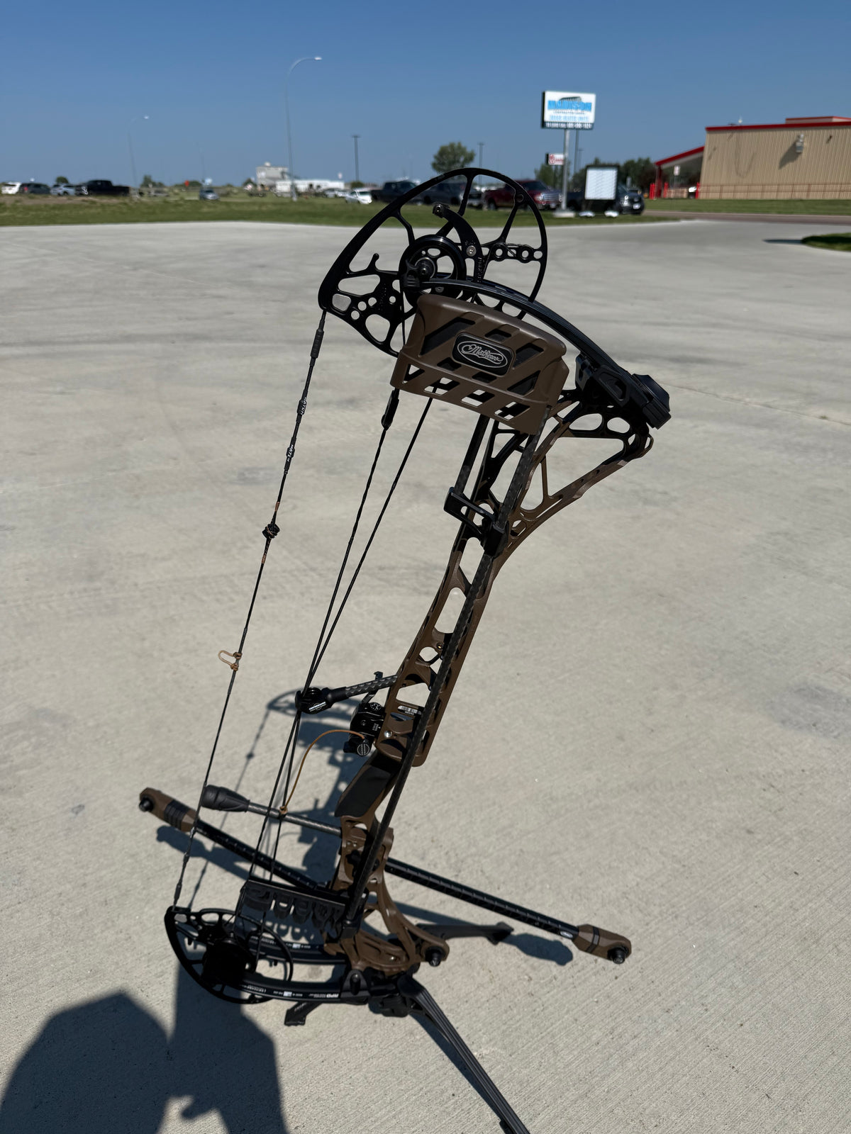 Mathews Bows